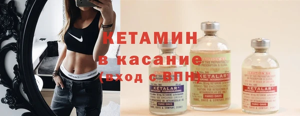 PSILOCYBIN Белокуриха