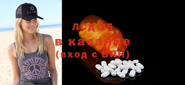 PSILOCYBIN Белокуриха