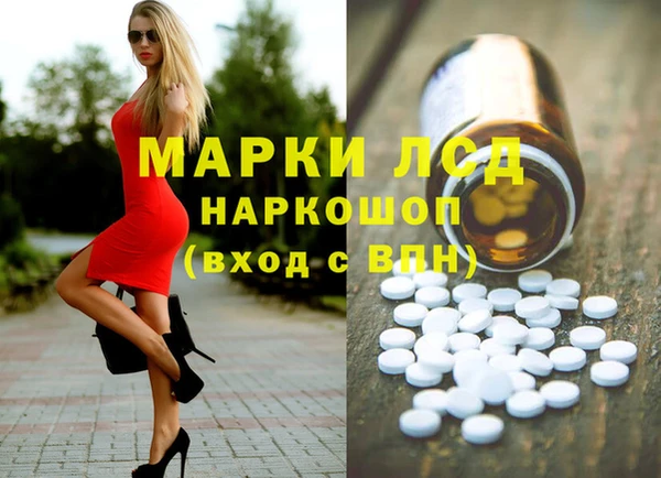 PSILOCYBIN Белокуриха