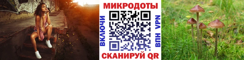 Купить где  Краснообск  Псилоцибиновые грибы Psilocybine cubensis 